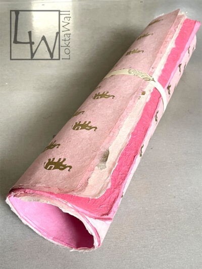 select-pinkB-roll