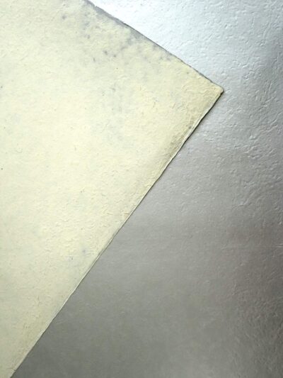 SW86C62_2裏