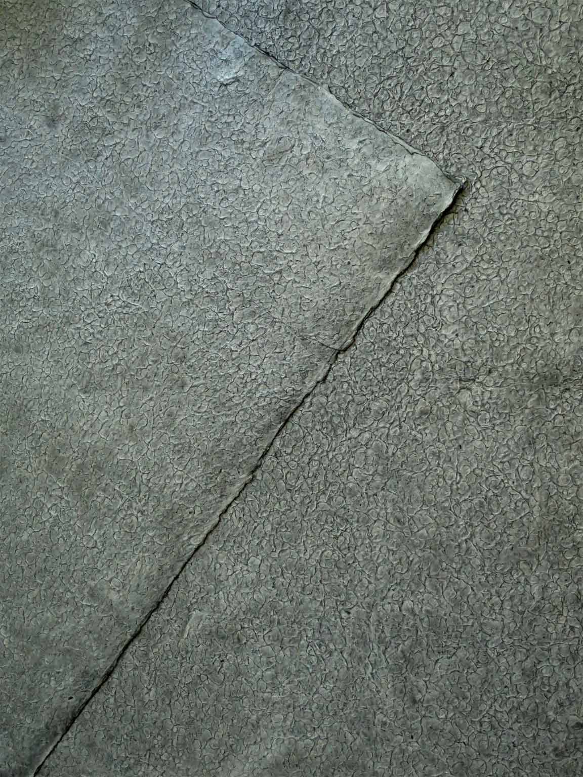 SS11