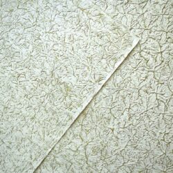 SM63C01C60