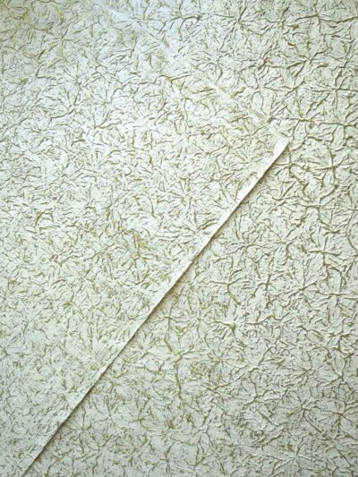 SM63C01C60