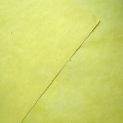 SN06C07