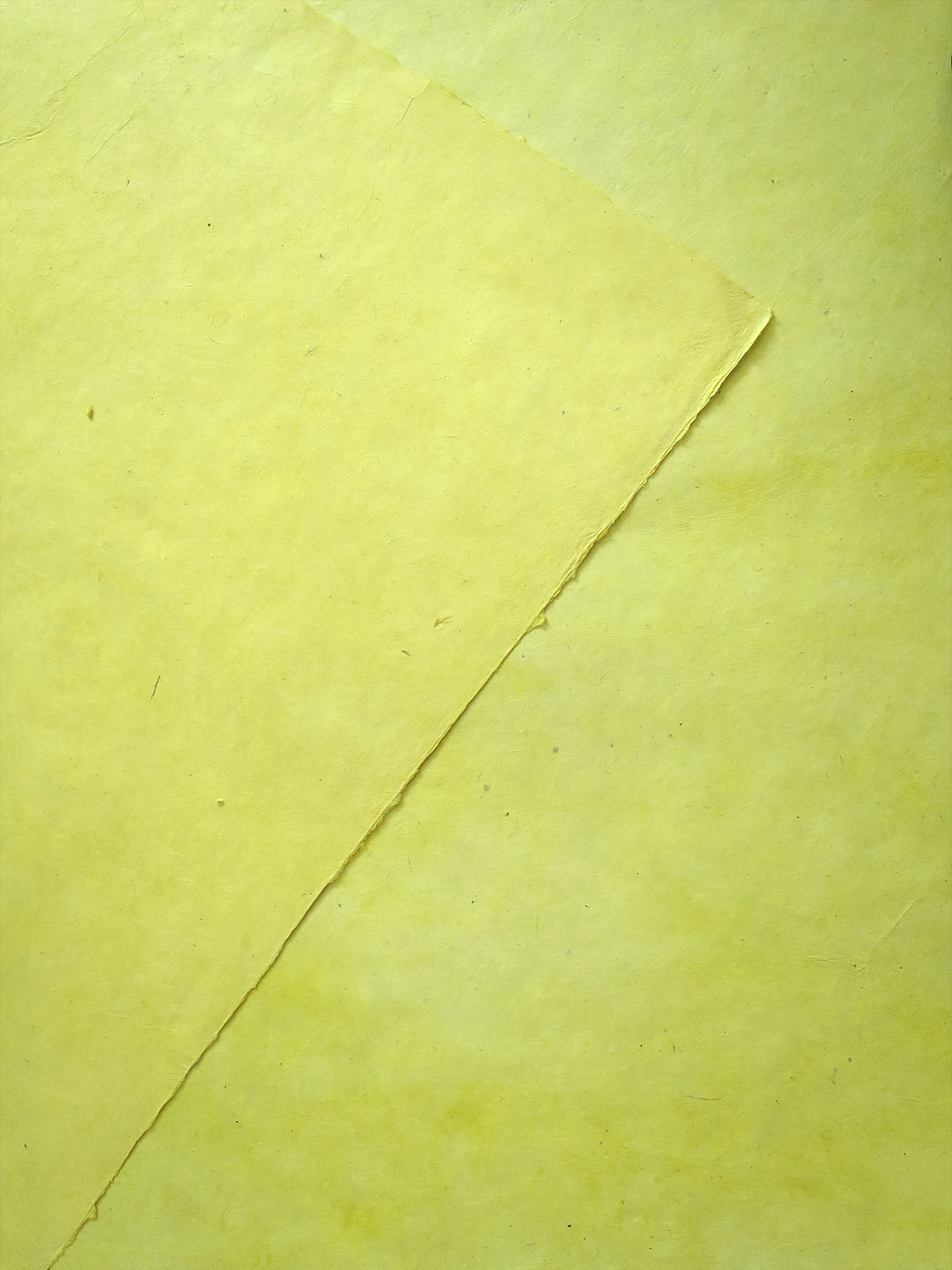 SN06C07