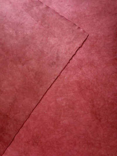 SN06C13