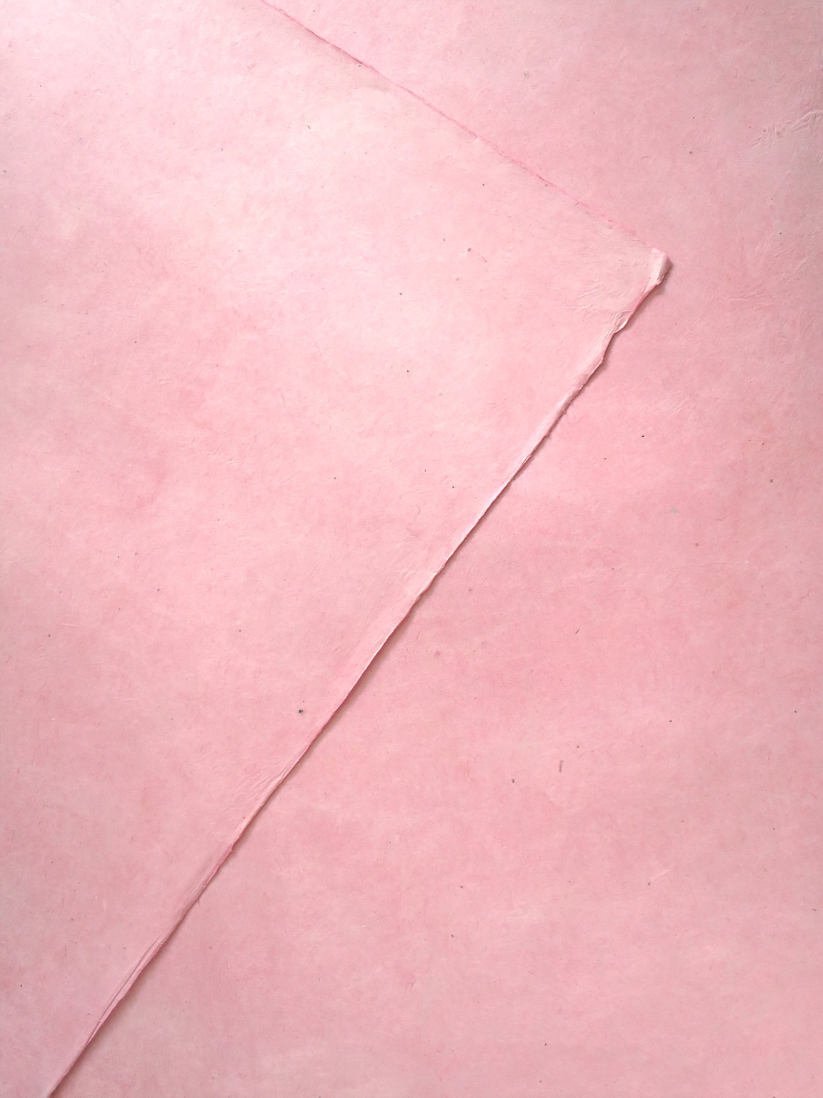 SN06C15