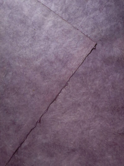 SN06C18