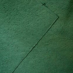 SN06C21
