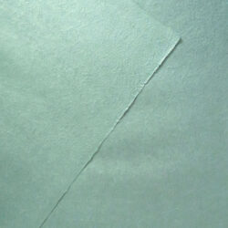 SN06C23