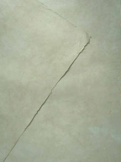 SN06C23A