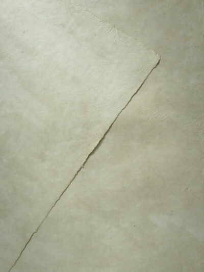 SN06C23A_2裏