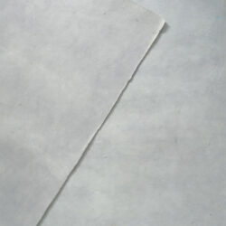 SN06C23B