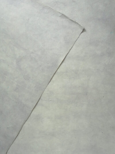 SN06C23B_2裏