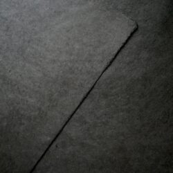 SN06C24