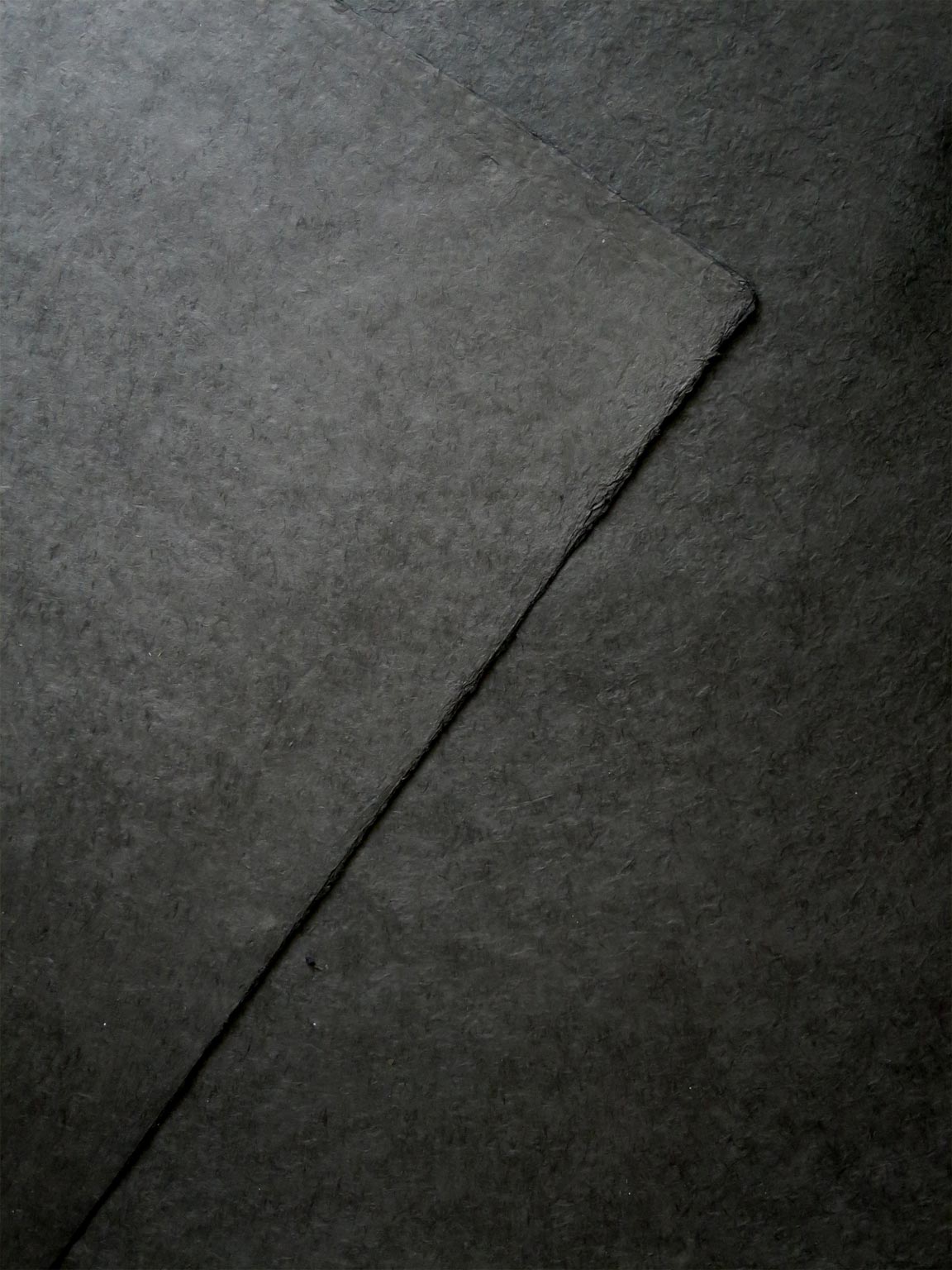 SN06C24