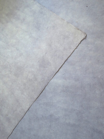 SN-6 C 22C_2裏