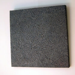 Palette_Dragonskingray